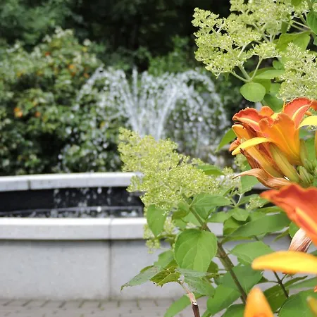 カニンガム アームズ ホテル 3*