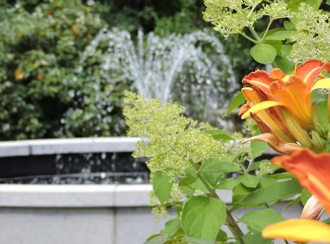 Conyngham Arms 호텔 3*